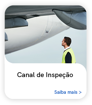 Canal de Inspeção